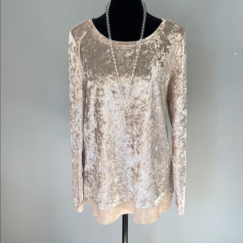 Elegant Velvet Beige -creamy pink long sleeve Top new small